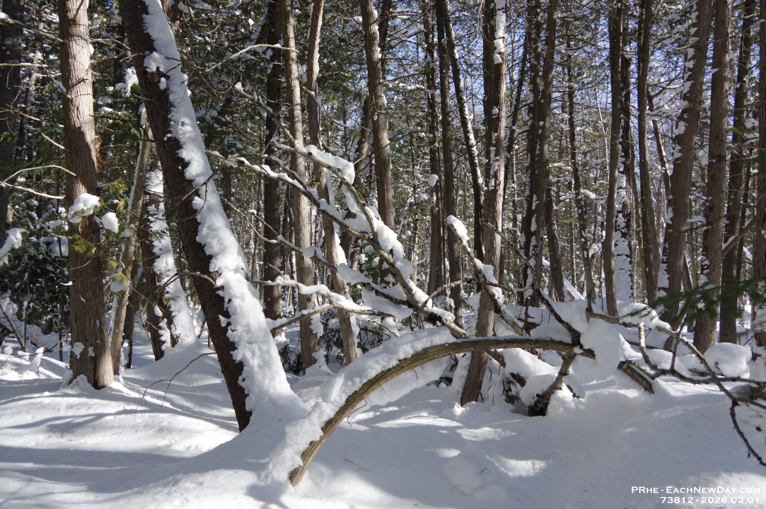 73812 - A lovely Sunday afternoon walk with Beth at the George Langman Sanctuary